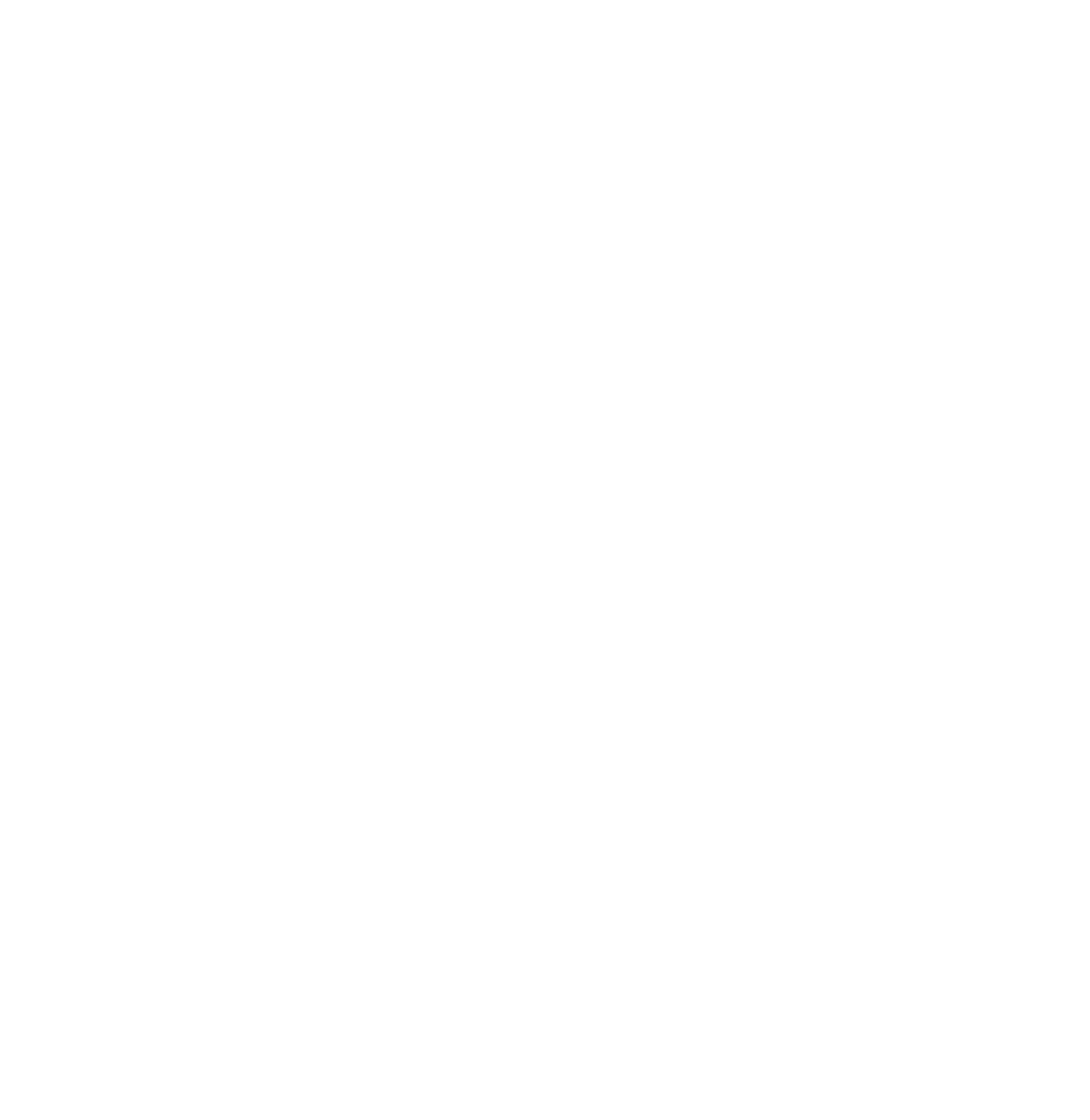 logo Mecksimum e.U